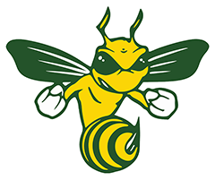 aiken high logo 96