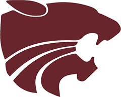 dms logo