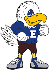 enes logo 96