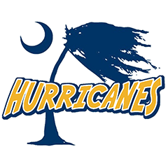 hurricanes logo template 96wren