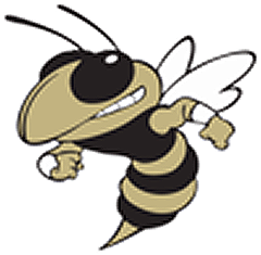 tlhhs new logo96