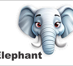 bus decal magnet elephant