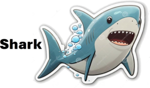 bus decal magnet shark