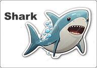 bus decal magnet shark