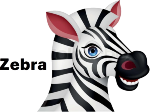 bus decal magnet zebra