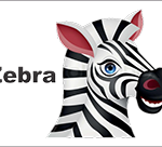 bus decal magnet zebra