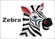 bus decal magnet zebra